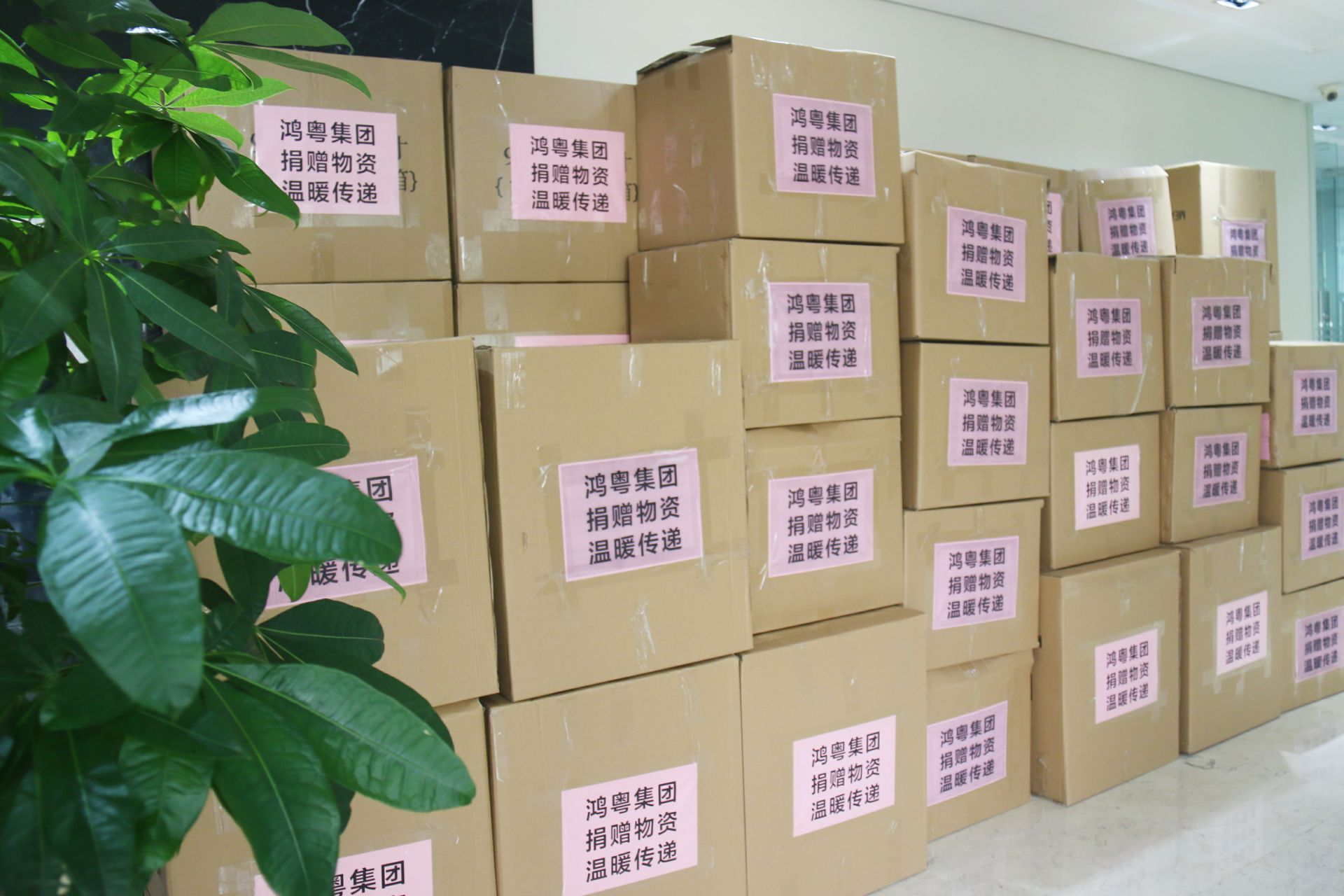 开云·官方版网站登录平台入口-开云(中国)公益回顾丨家国同欢月同圆 温暖满载甘孜州(图1)